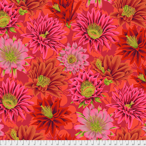 "Kaffe Fassett Collective - Cactus Flower" For Free Spirit COLOUR: Red