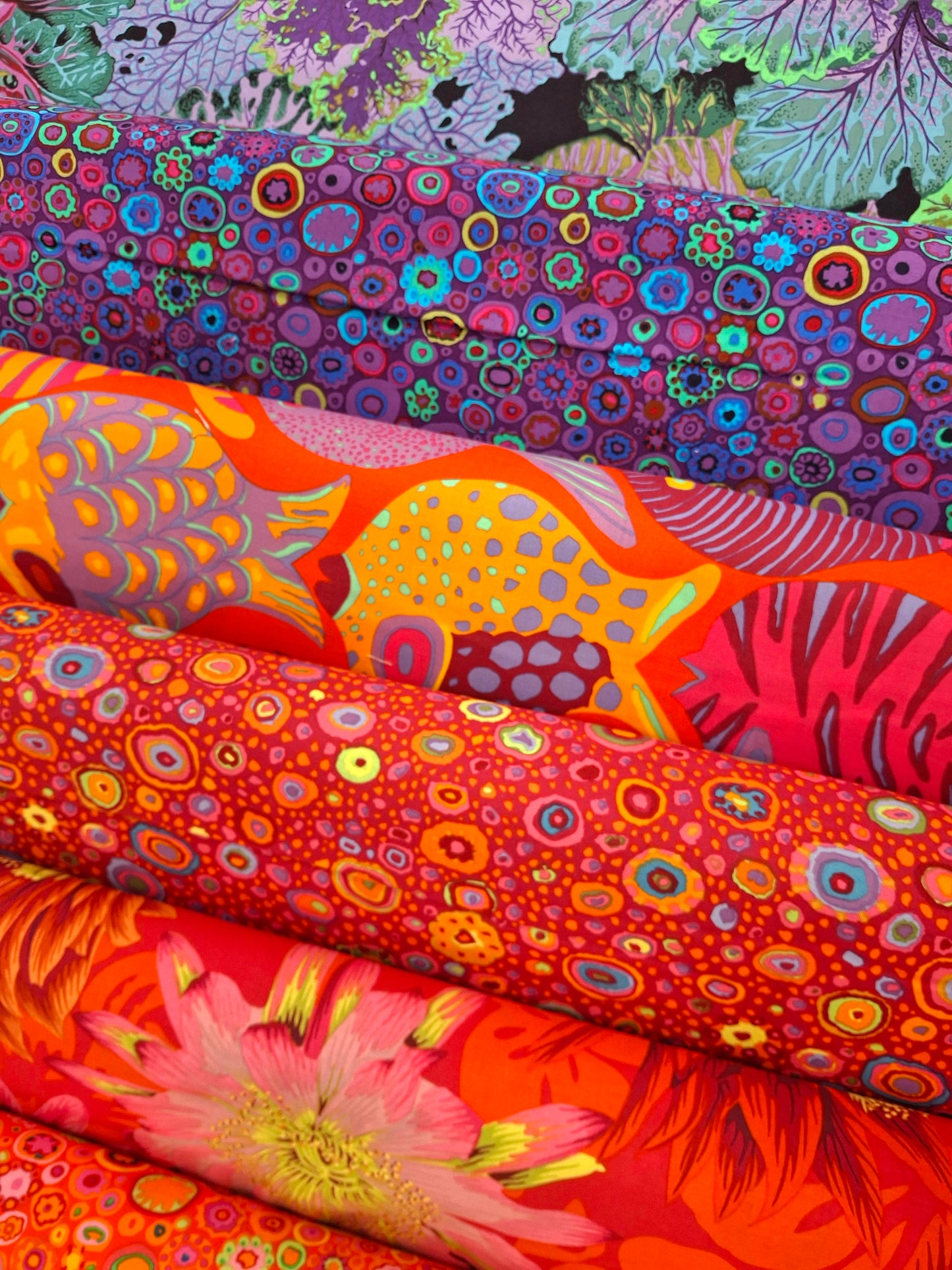 "Kaffe Fassett Collective - Cactus Flower" For Free Spirit COLOUR: Black