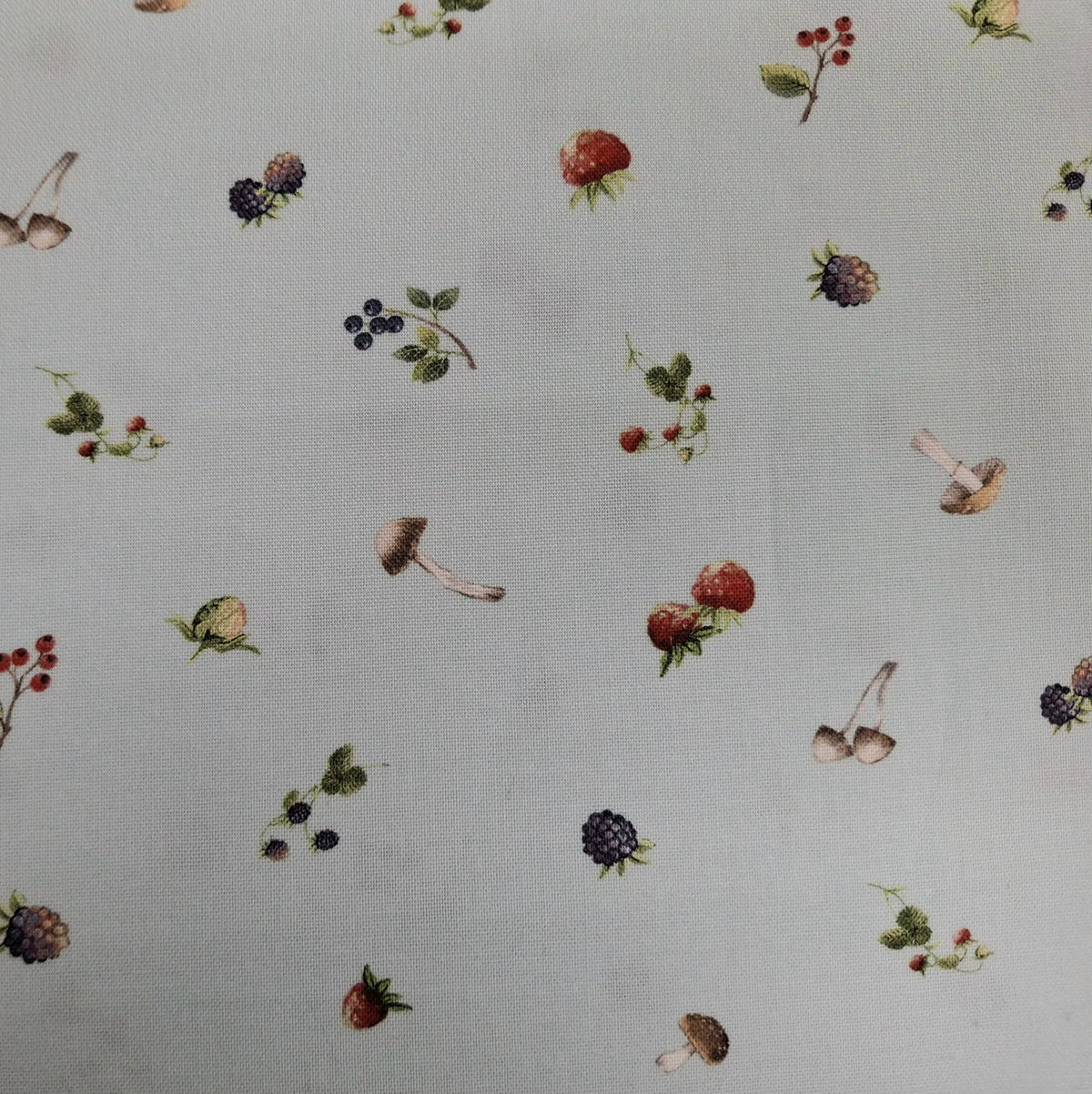 Country Mouse 5 Fabric Bundle - 5 Half Yard Pieces of Quilter’s Cotton