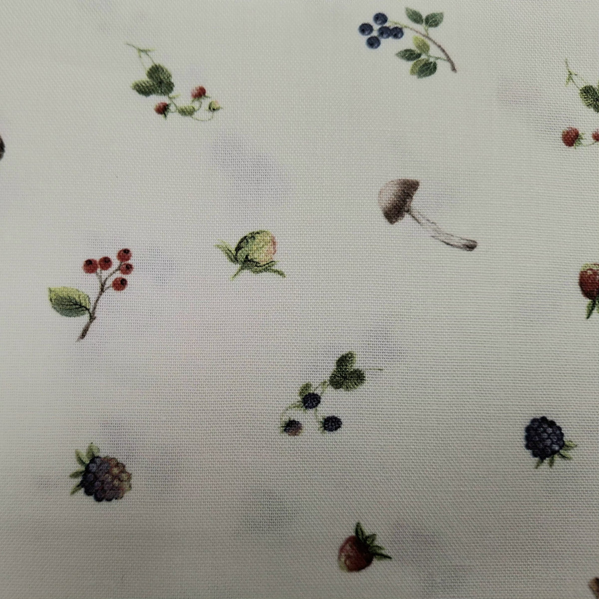 Country Mouse 5 Fabric Bundle - 5 Half Yard Pieces of Quilter’s Cotton