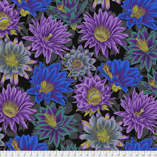 "Kaffe Fassett Collective - Cactus Flower" For Free Spirit COLOUR: Black