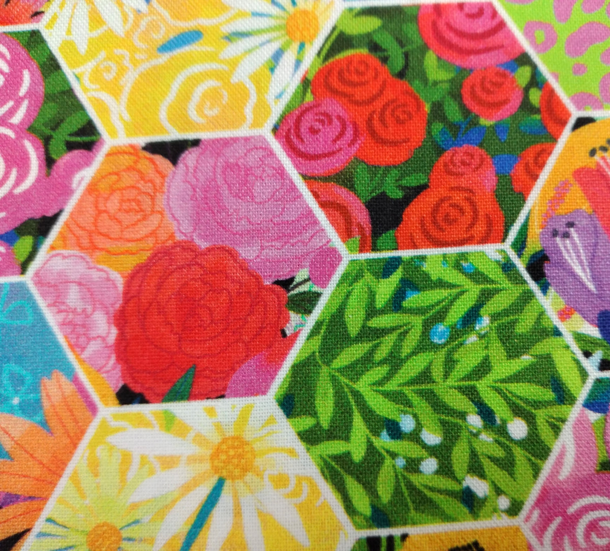 Quilt Retreat - Multi Hexi by Northcott Fabrics 1/2yd Cuts 2 Coordinating Fabrics