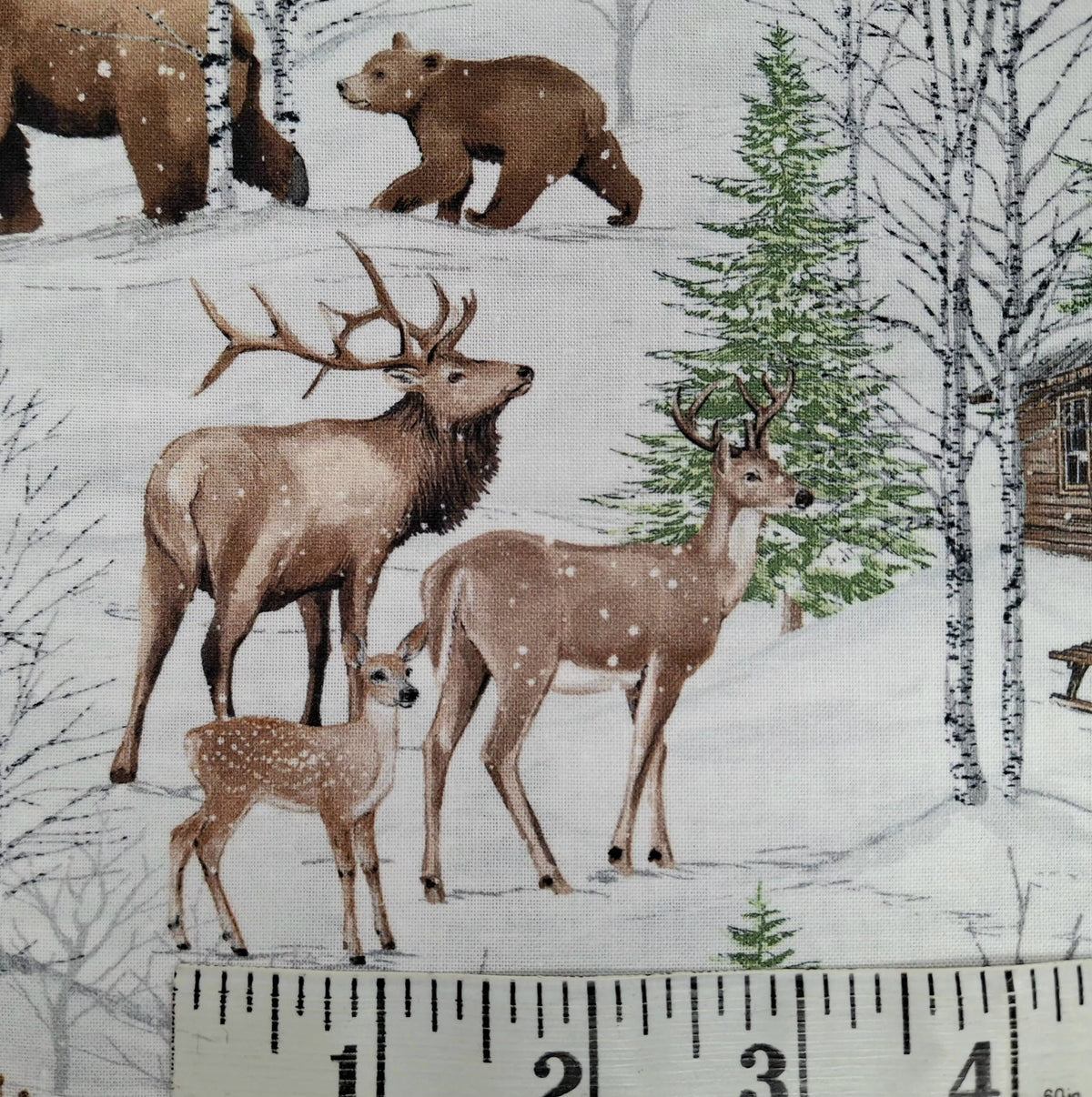 Winter Woodland 5 Pieces 1/2yd Cuts Coordinating Fabrics by Northcott Fabrics